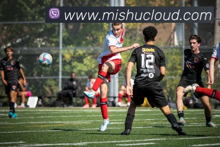 beat365官方网站入口发展历程